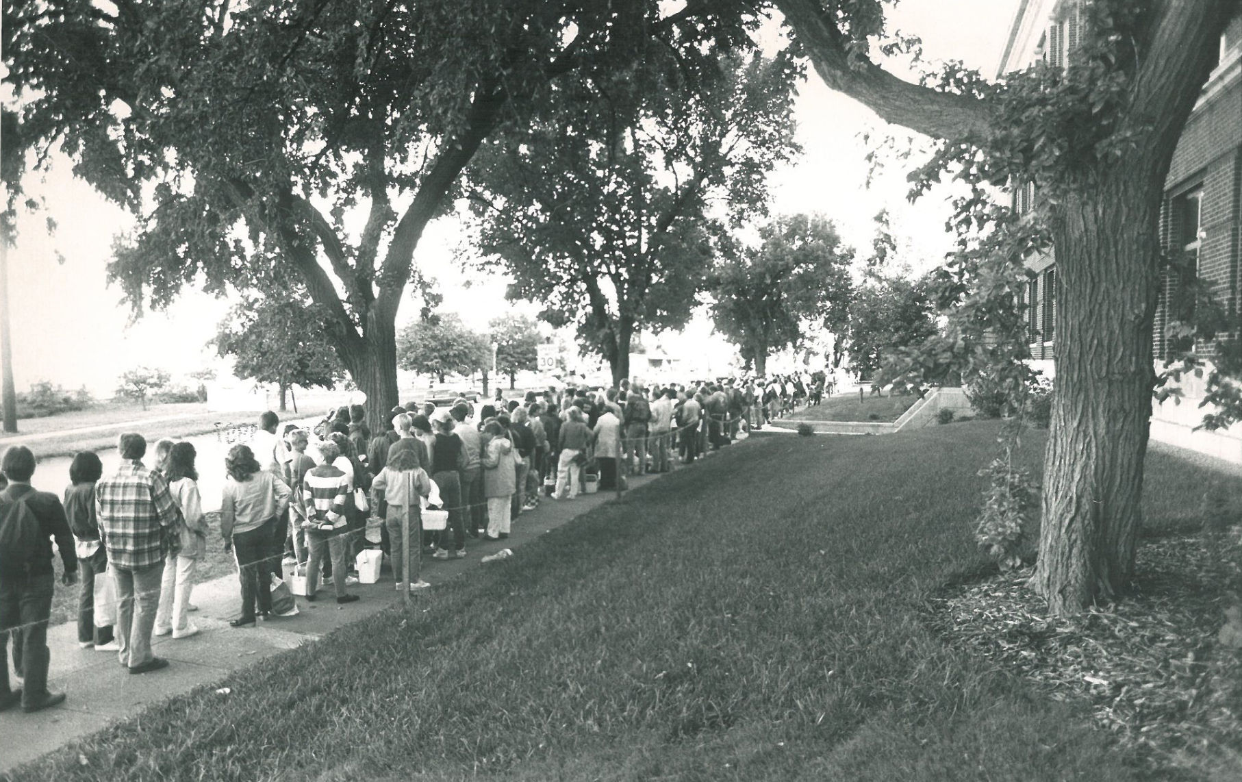 The line